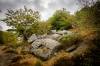 paysage-011