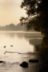 paysage-002
