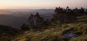 paysage-029
