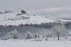 paysage-024