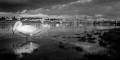 paysage-007